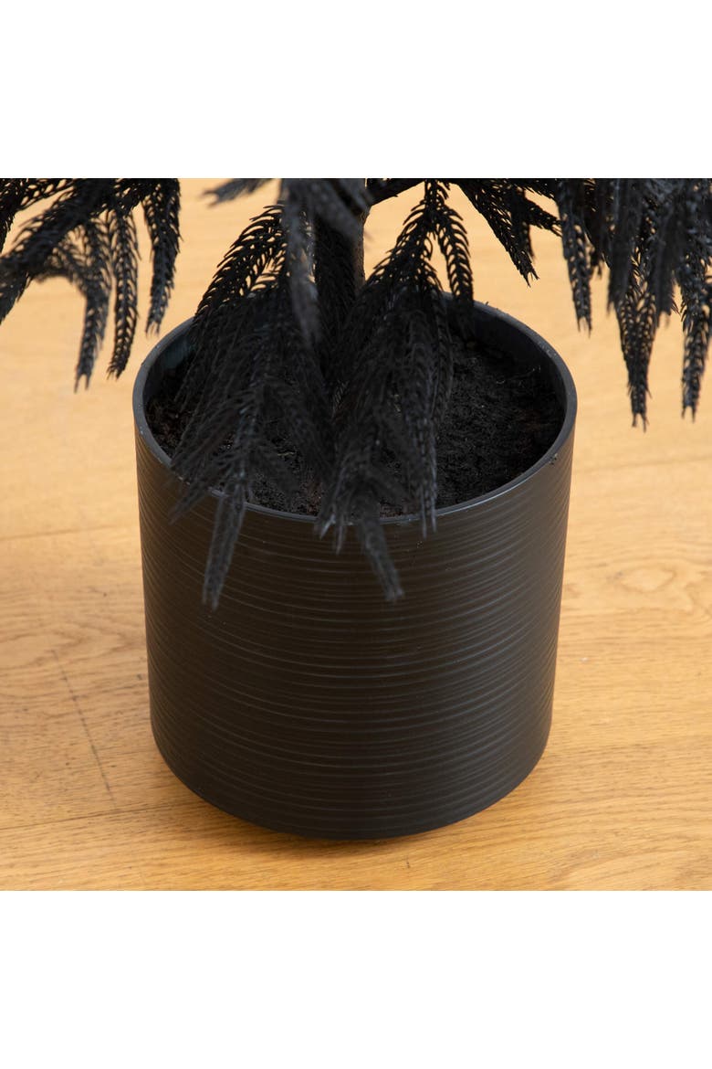 4-ft Artificial Halloween Real Touch Black Norfolk Pine Christmas Tree with Natural Look, Alternate, color, Black