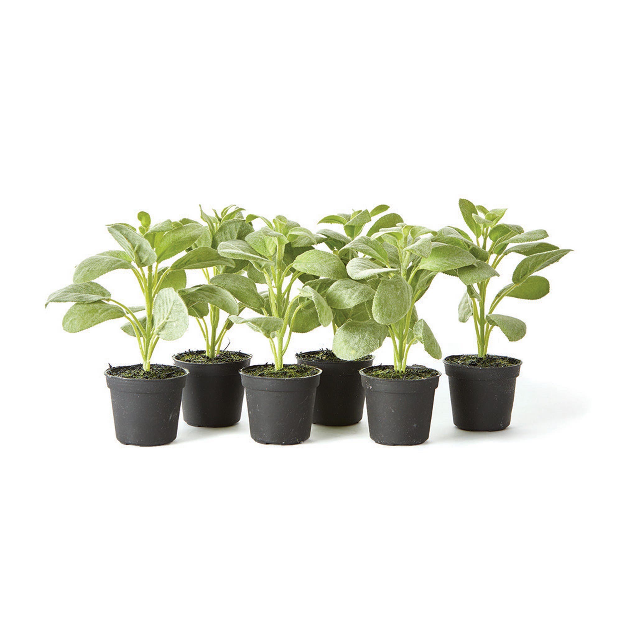 selected Green