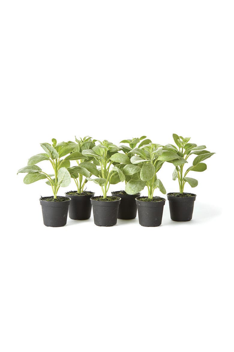 Sage Drop-In 6.5" , Set Of 6, Main, color, Green