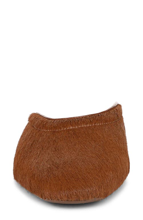 27 Edit Naturalizer Carla Mule In Tawny Brown