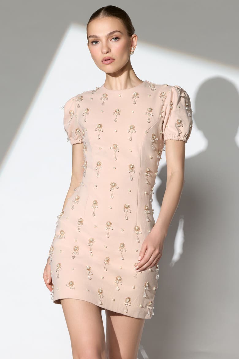 Crystal Embellished Short Sleeve Mini Dress, Alternate, color, Porcelain