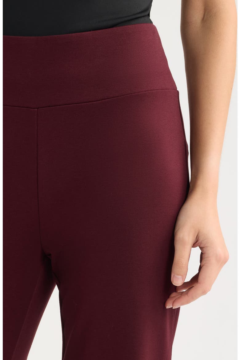 High Waist Pull-On Wide Waistband Trousers, Alternate, color, BAROLO