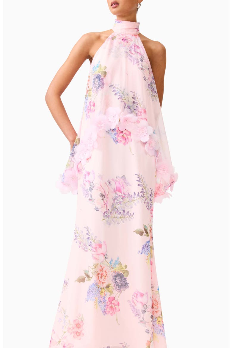 Millie Floral Appliqué Tiered Halter Neck Gown, Alternate, color, PINK MULTI