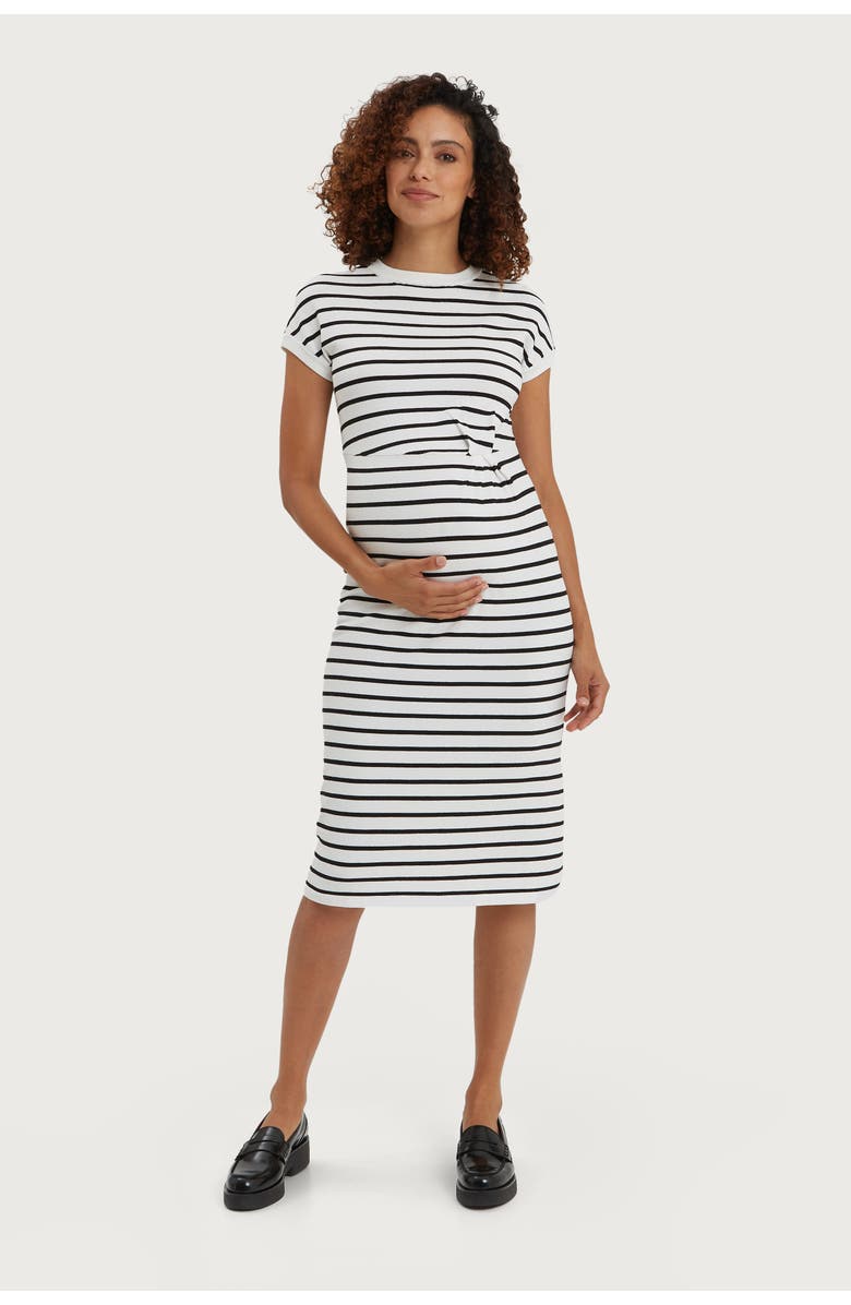 Nom Maternity Lydia Maternity & Nursing Knee Length Dress, Main, color, White & Black Stripe