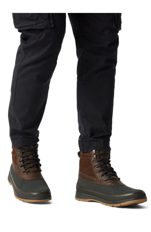 Sorel Ankeny Ii Plus Waterproof Hiking Boot In Multi