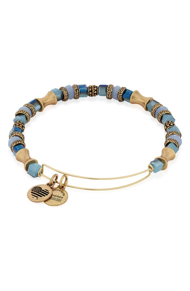 Alex and Ani 'Shells and Scales' Bangle Bracelet, Main, color,