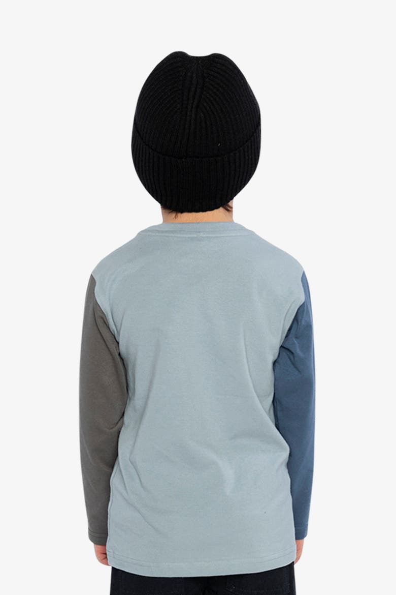 Organic Cotton Crew Neck Dino Graphic Long Sleeve T-Shirt, Alternate, color, Sky Blue