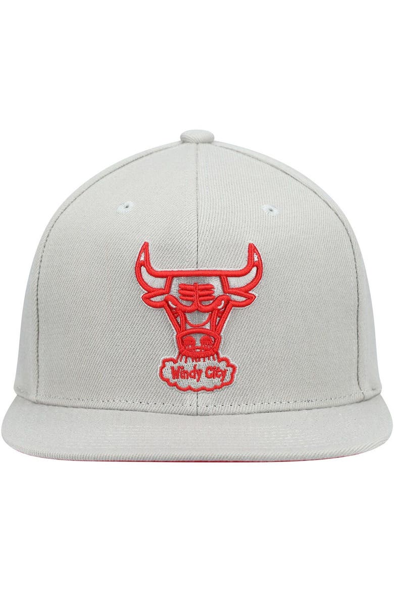 Men's Mitchell & Ness Gray Chicago Bulls Hardwood Classics Tonal Snapback Hat, Alternate, color, Gray