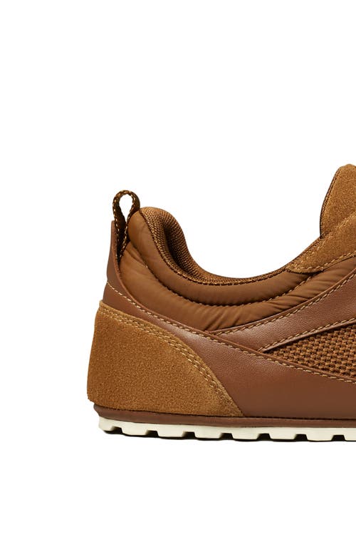Tory Burch Field Sneaker In Brown