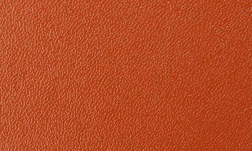 Valentino By Mario Valentino Dolly Logo Buckle Leather Belt In Cinnamon
