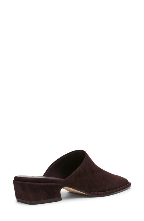 Steve Madden Dessa Mule
