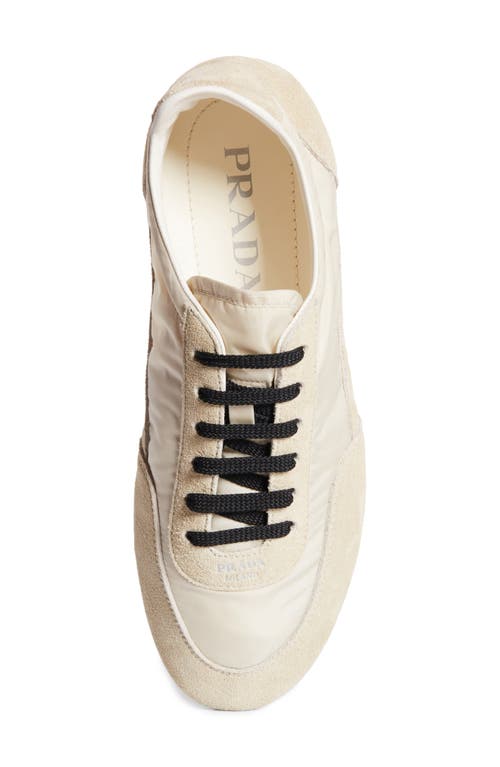 Prada Collapse Mixed Media Low Top Sneaker In Avorio