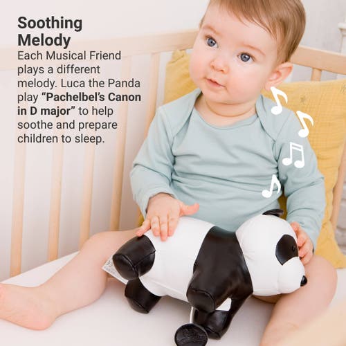 Little Big Friends Musical Animals In Multi