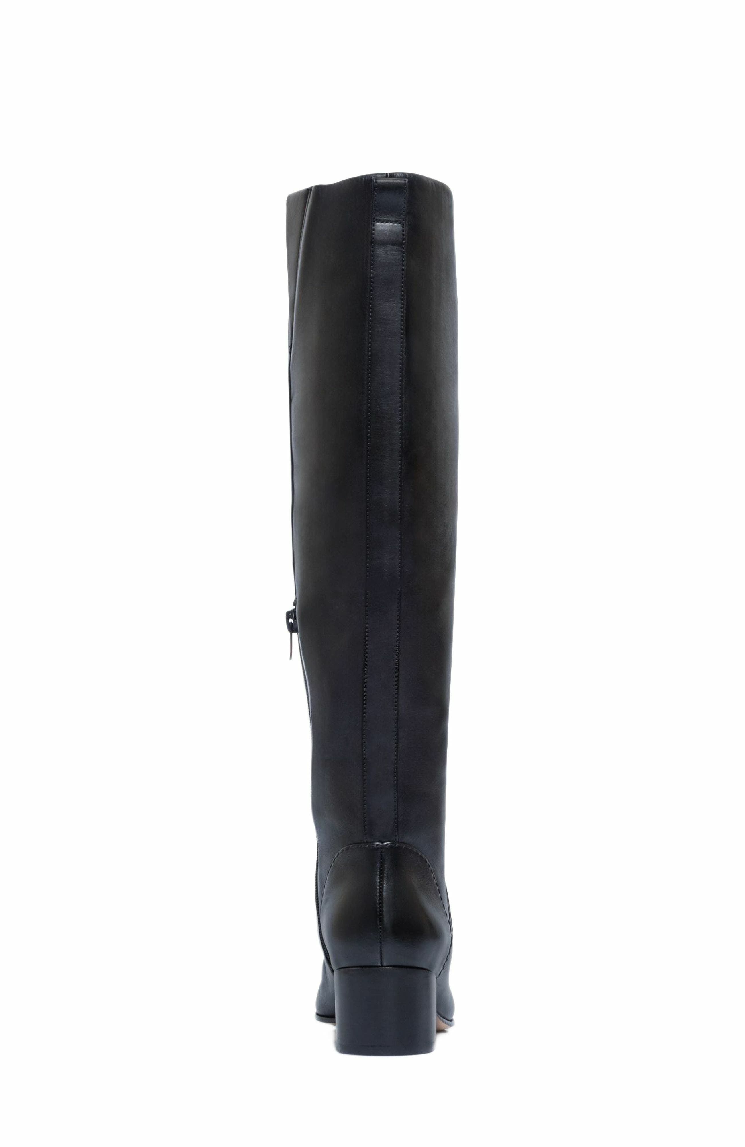Milano Knee-High Pointed Toe Boot, Alternate, color, BLACK