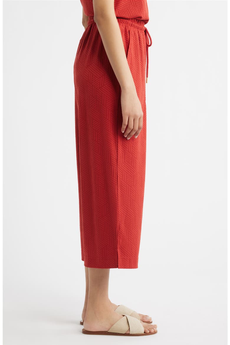 Crop Wide Leg Drawstring Pants, Alternate, color, BRICK