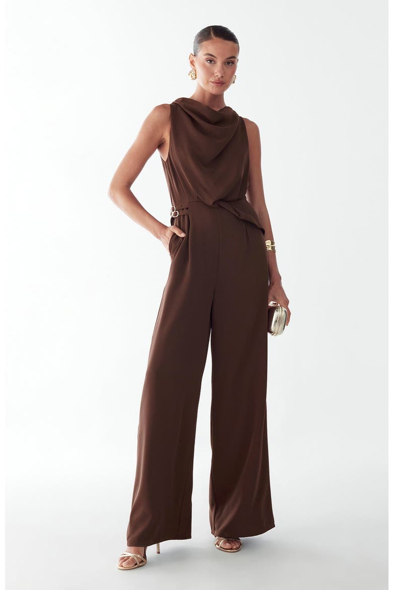 Dalia Jumpsuit, Alternate, color, Chocolate
