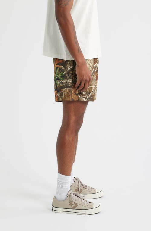 Santo Studio X Realtree Edge Camo Drawstring Shorts In Multi