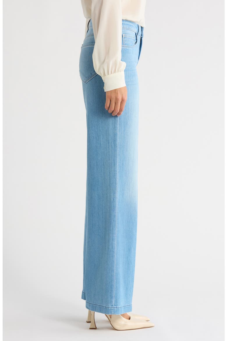 Joanne Wide Leg Jeans, Alternate, color, AMHERST