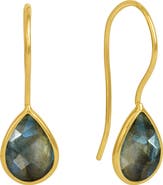Dean Davidson Nosara Droplet Earrings