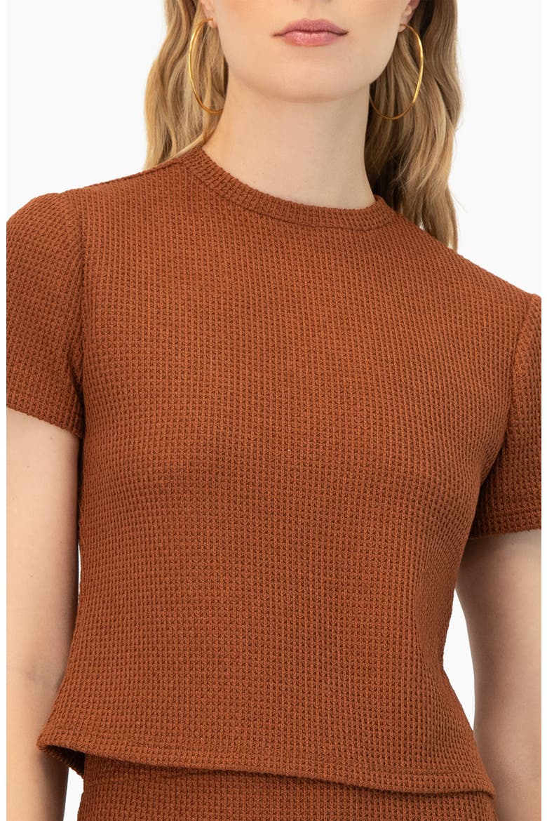 Textured Knit Short Sleeve Top, Alternate, color, Brown