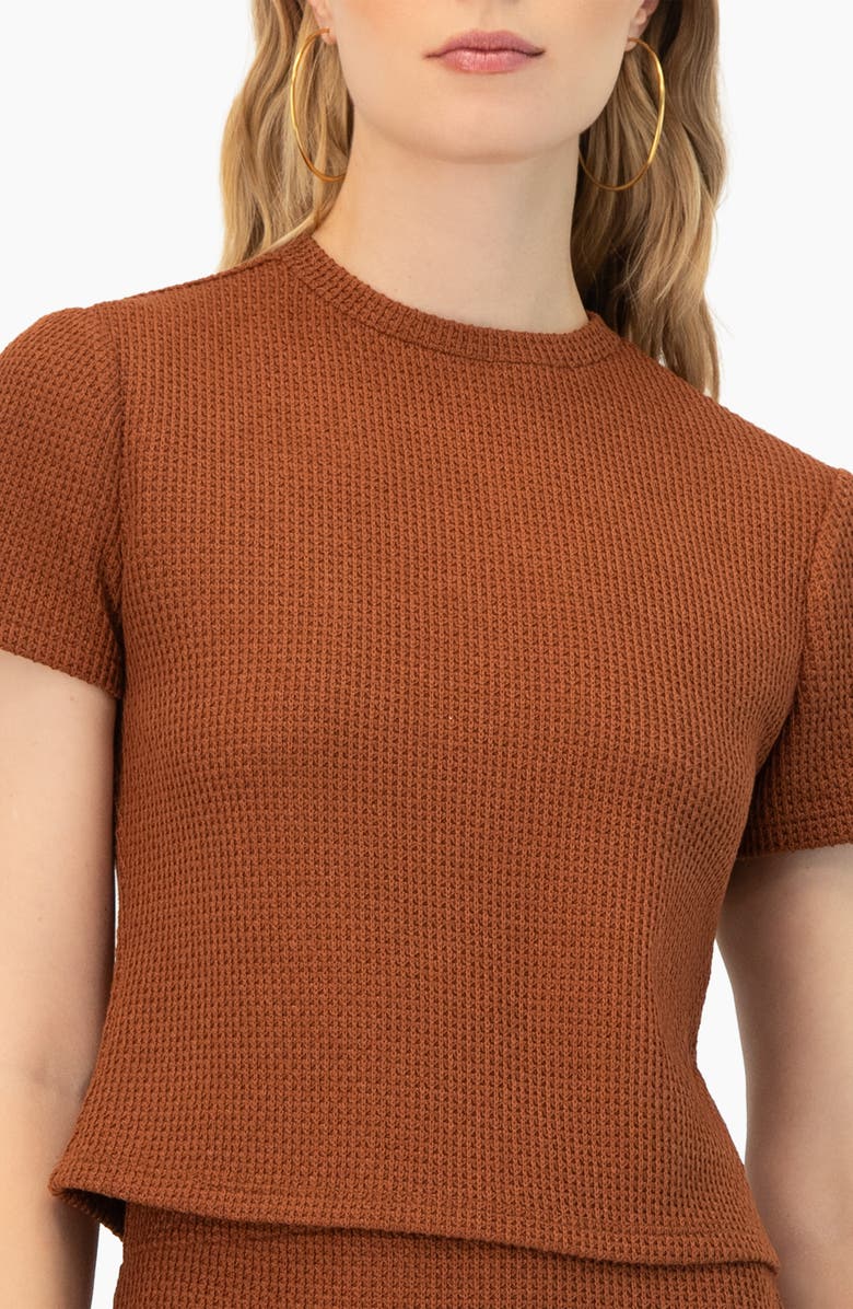 IVONNE Textured Knit Short Sleeve Top, Alternate, color, Brown