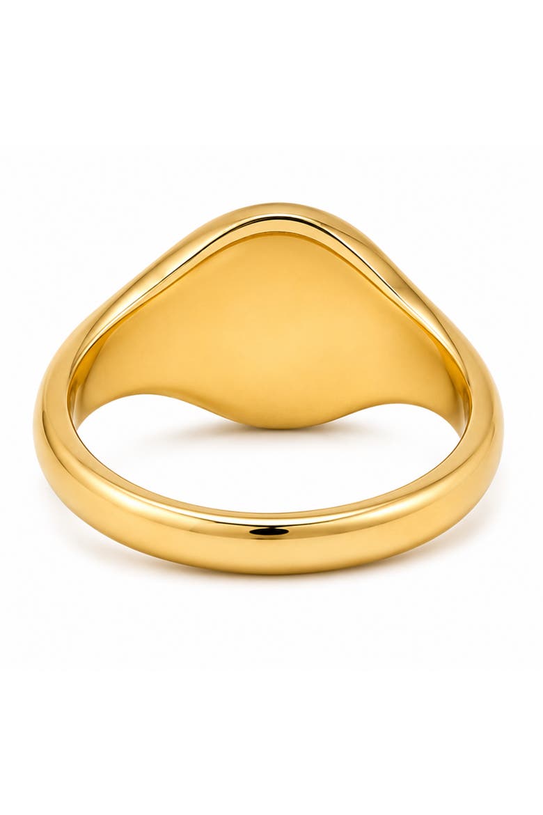 Golden Ray Signet Ring, Alternate, color, Gold