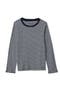 selected Navy/Cream Ditsy Stripe