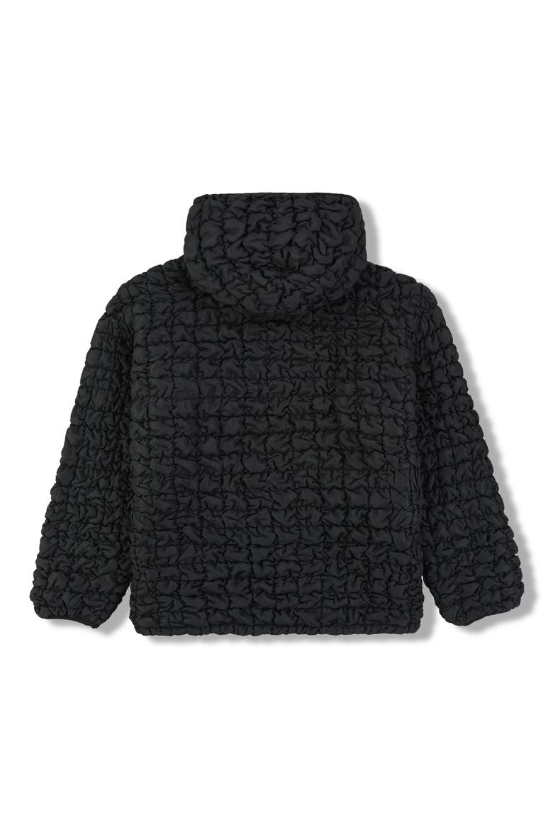 Tender Hooded Quilted Puffer Jacket, Alternate, color, BLACK