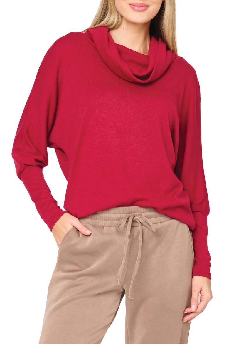 Cozy Up Cowl Neck Sweater, Main, color, CRANBERRY