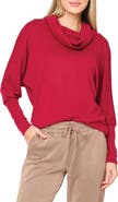 GIBSONLOOK Cozy Up Cowl Neck Sweater