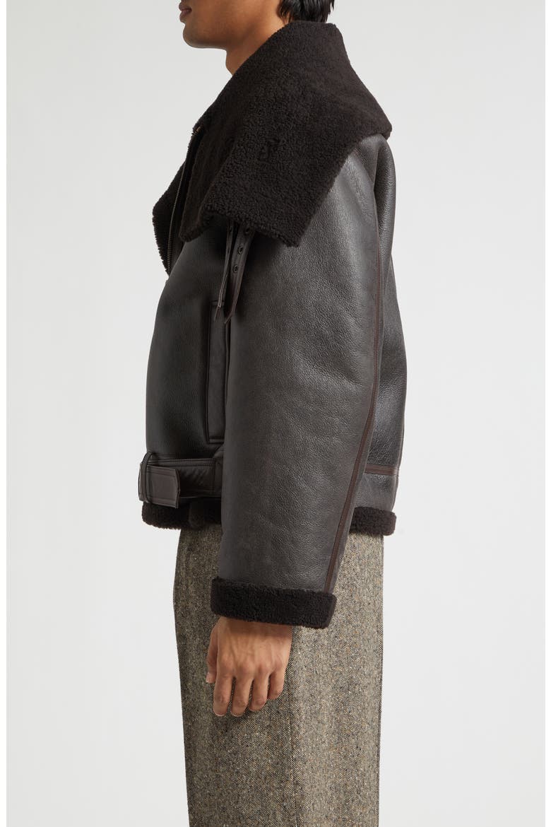 Belted Lambskin & Genuine Shearling Aviator Jacket, Alternate, color, CHOCOLATE BROWN/ BROWN