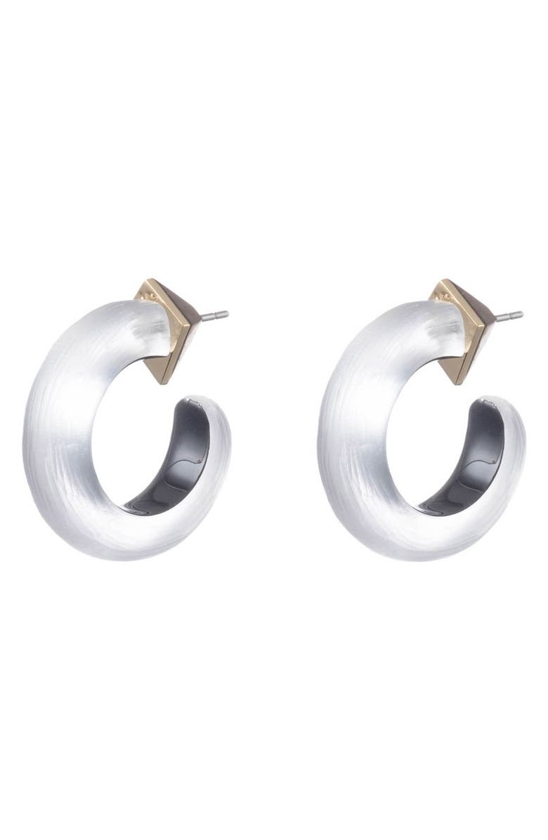 Alexis Bittar Hoop Earrings, Main, color, 