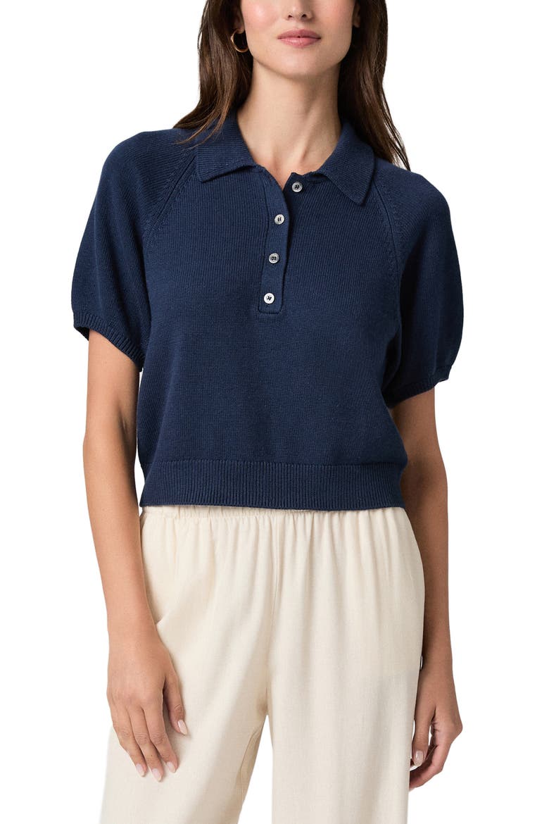 Birch Polo Sweater, Main, color, NAVY
