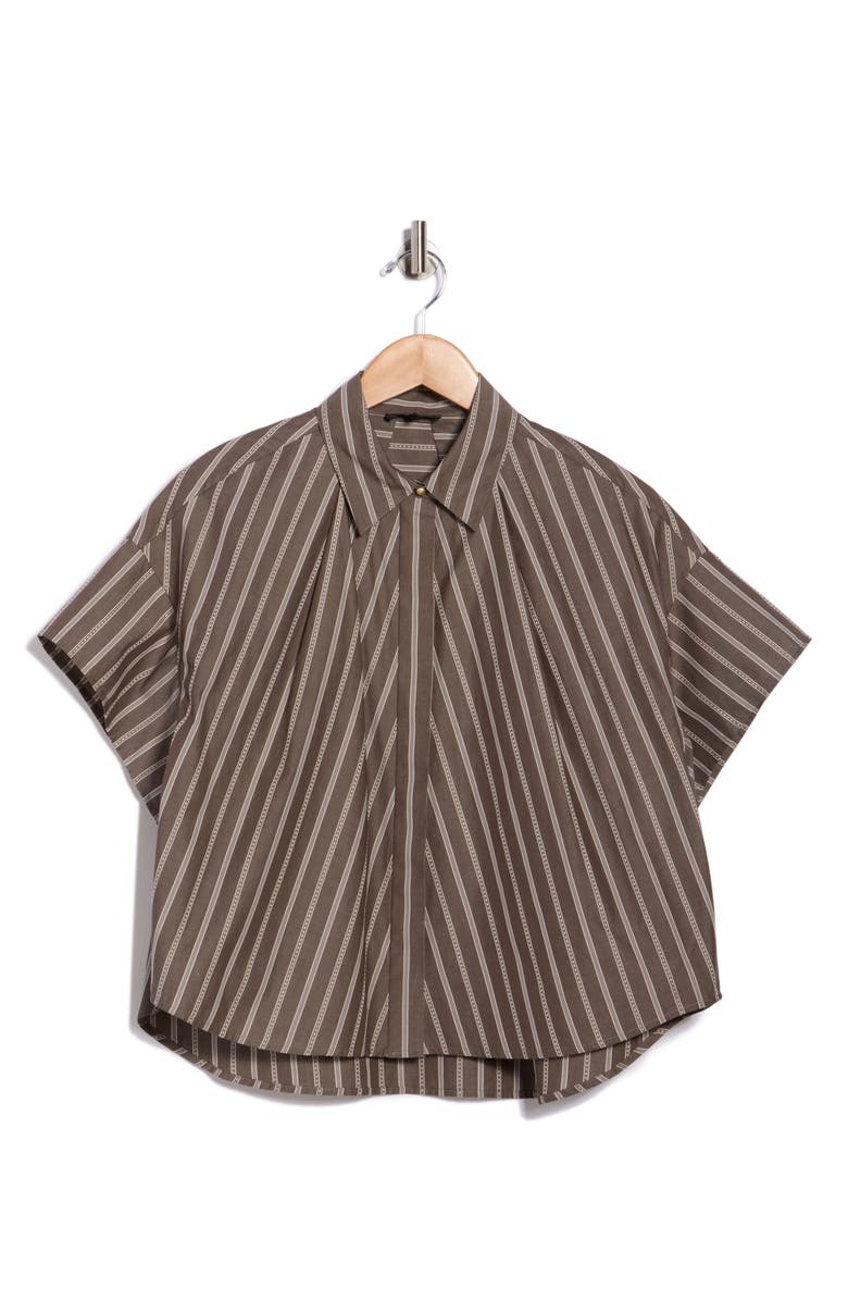 rag & bone Maura Stripe Button-Up Shirt, Alternate, color, Brown Stripe