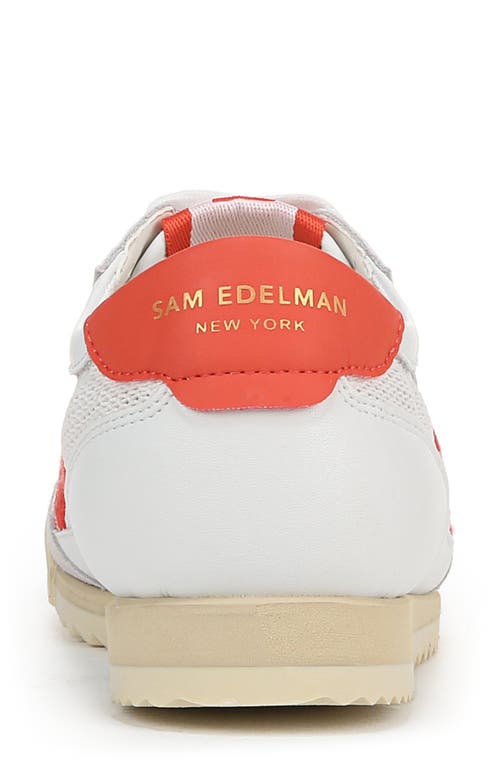 Sam Edelman Irma Sneakers In White/persimmon