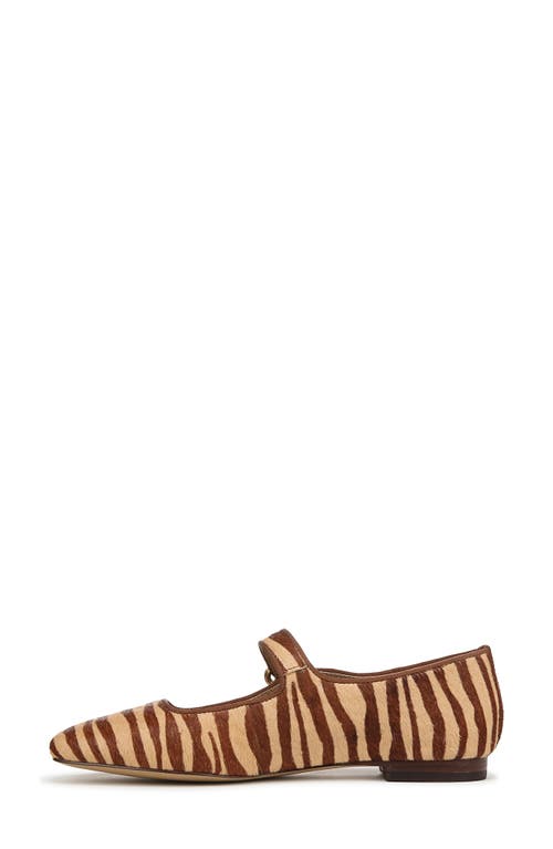 Sam Edelman Michaela Mary Jane Flat Camel Zebra Brahama Hair In Beechwood Multi