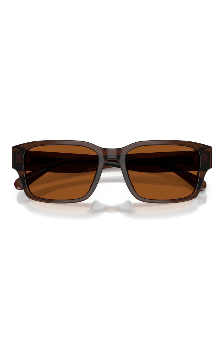 55mm Rectangular Sunglasses, Alternate, color, TRANSPARENT BROWN / BROWN
