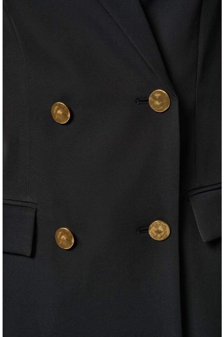 Double Breasted Blazer with Sheer Sleeves, Alternate, color, BLACK