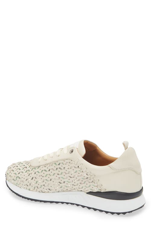 Mezlan Plata Sneaker In Light Green Multi
