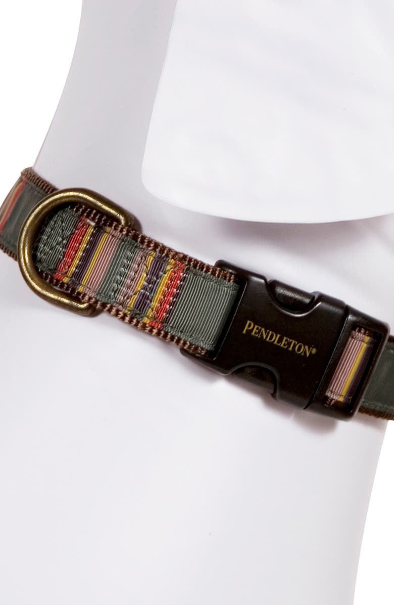 Pendleton Camp Dog Collar, Alternate, color,
