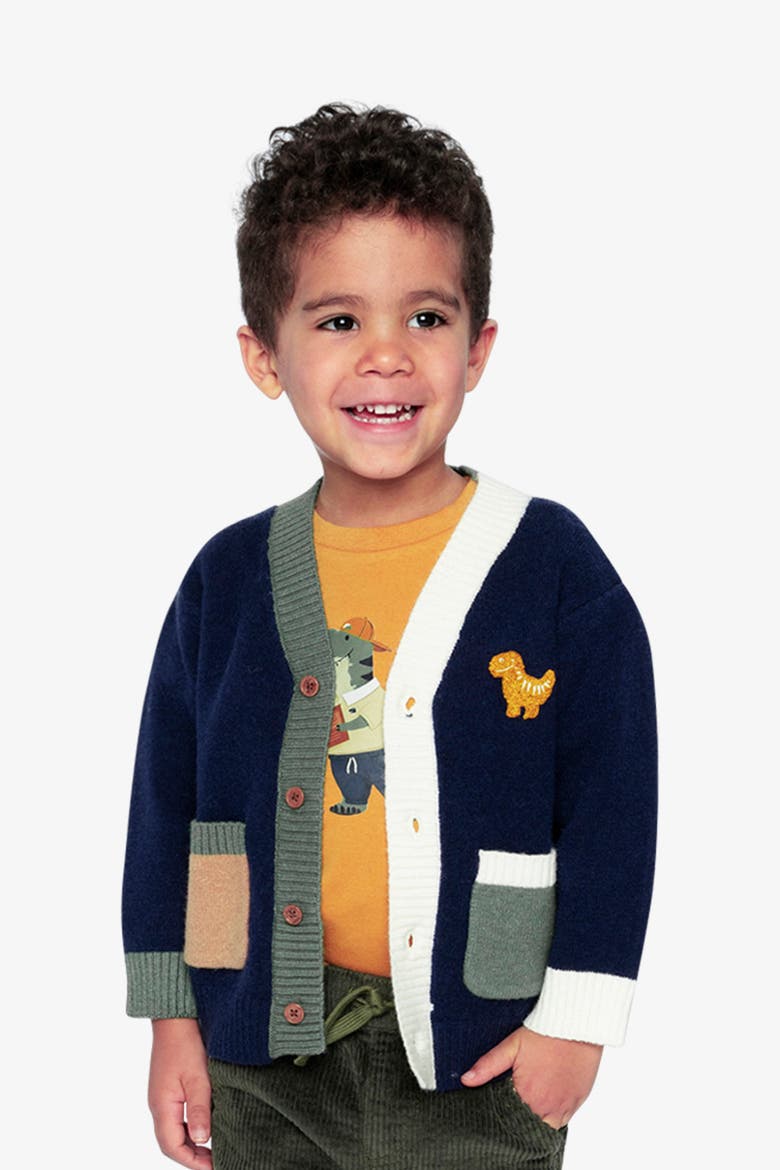 Dino Embroidered Colorblock Pocket Knit Cardigan, Alternate, color, Dark Blue, Green and Yellow