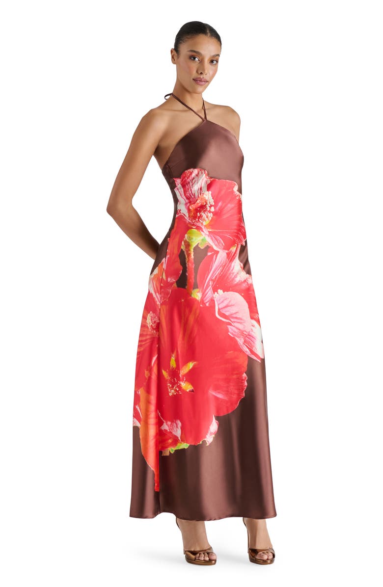 Steve Madden Floral Satin Halter Maxi Dress, Alternate, color, Burnt Umber