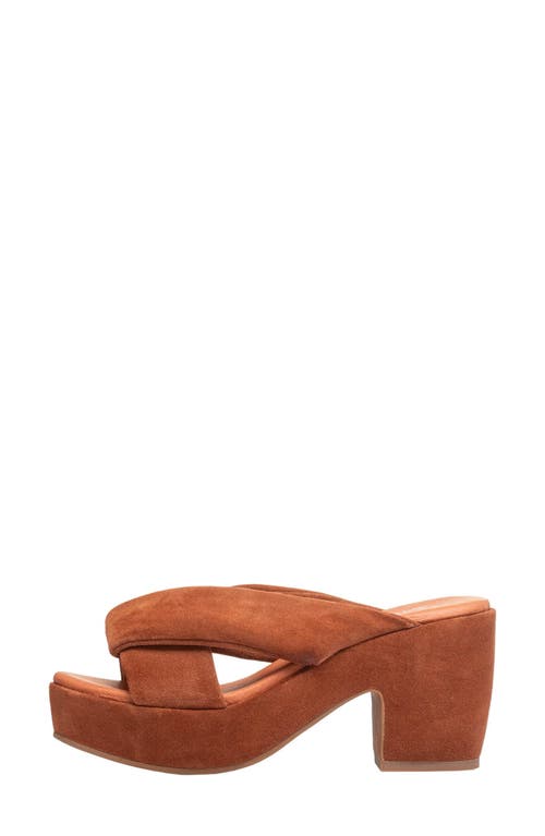 Antelope Talise Slide Sandal In Tobacco
