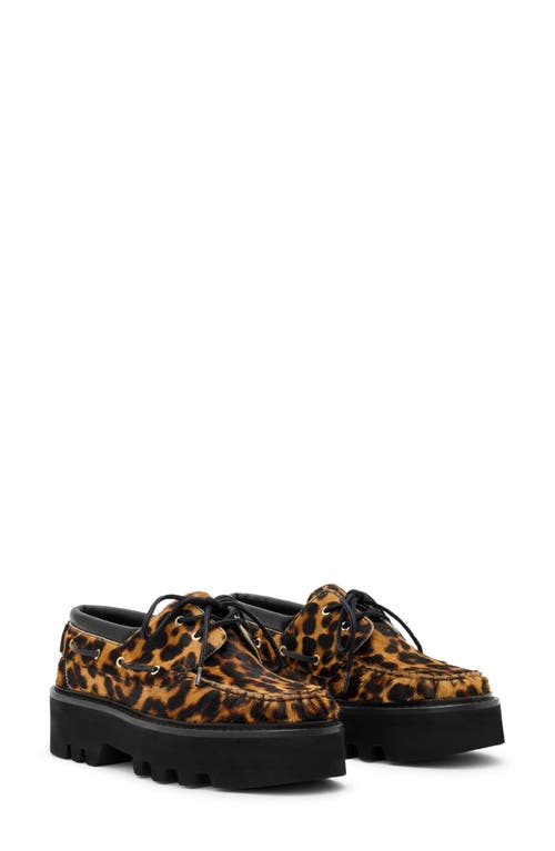 Allsaints Aastha Genuine Calf Hair Platform Boat Shoe In Multi