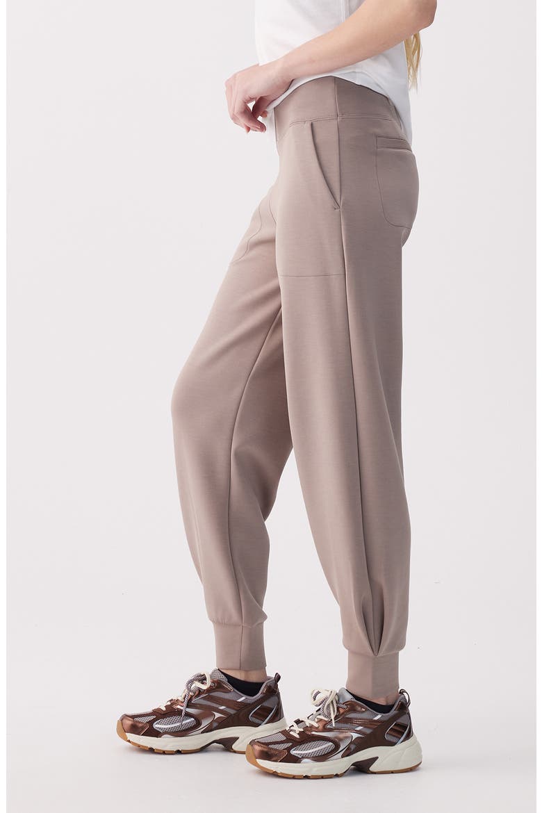 Flow Joggers, Alternate, color, PEBBLE