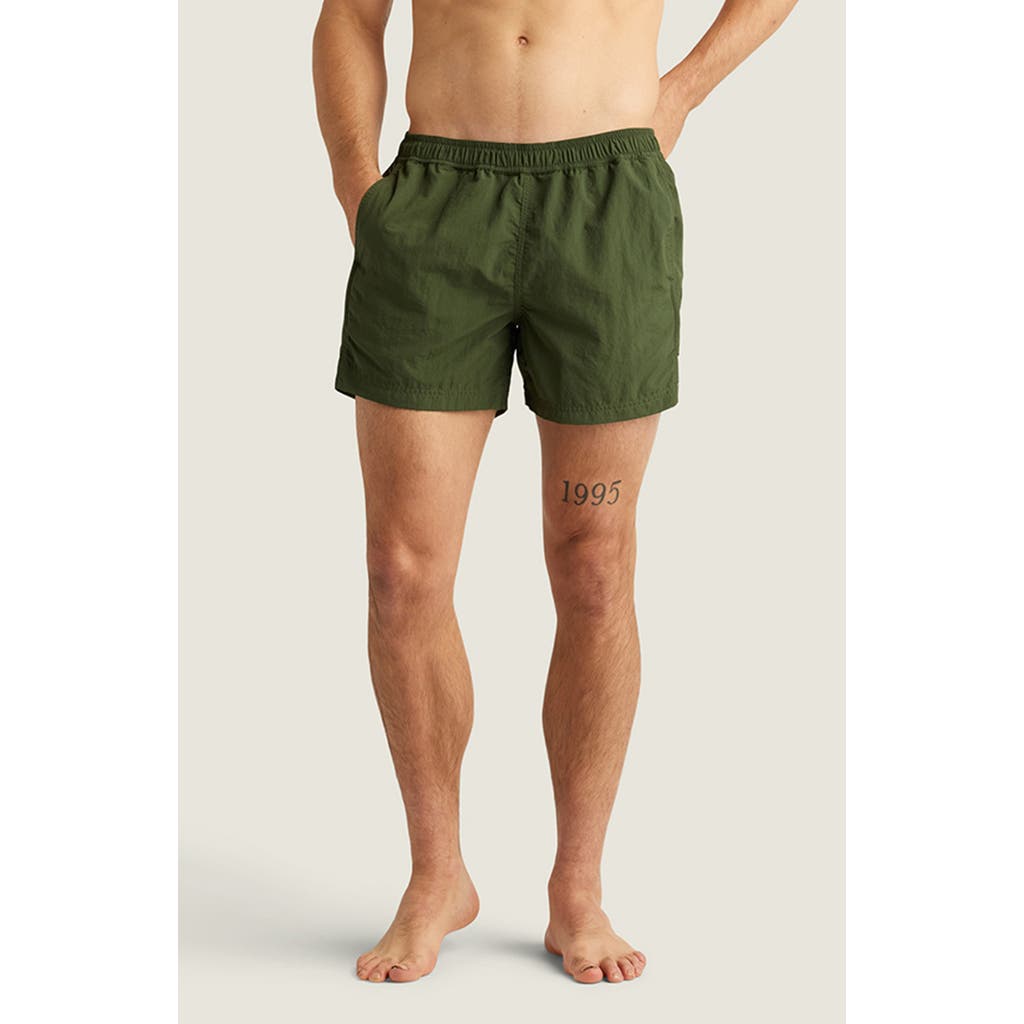Auto-reply™ Sebastian Solid 4-inch Nylon Swim Trunks In Moss
