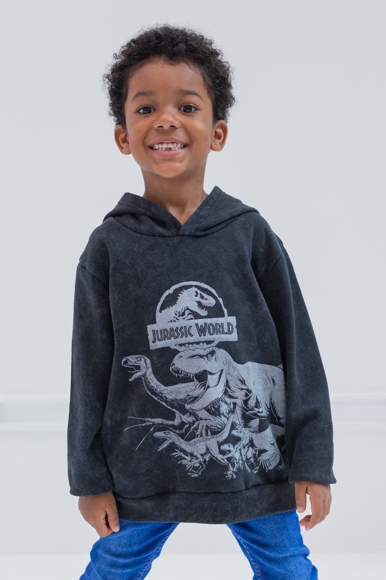 Jurassic Park Fleece Hoodie, Alternate, color, Mineral Wash Grey
