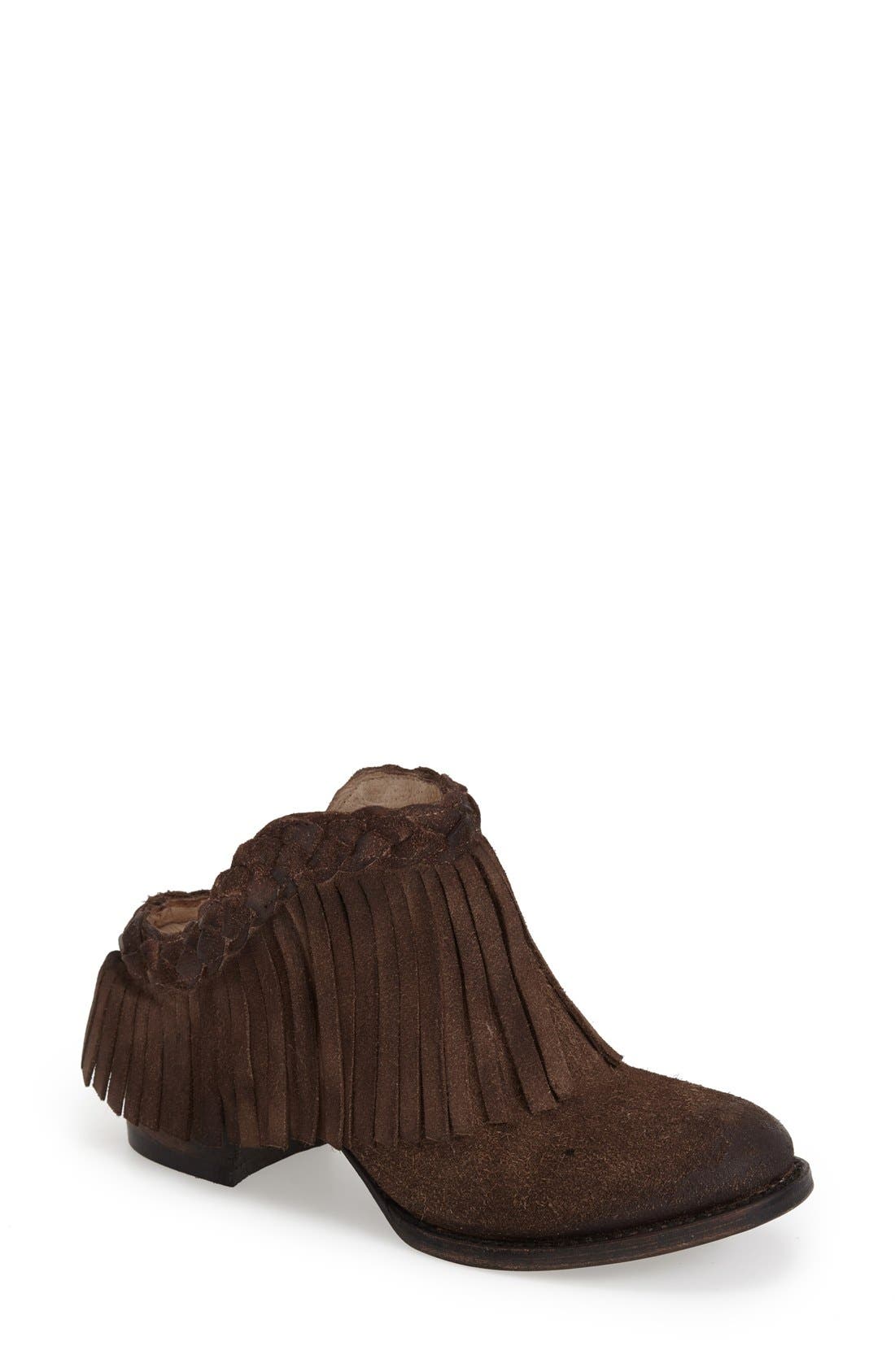 Freebird by Steven 'Lucy' Bootie, Main, color, 