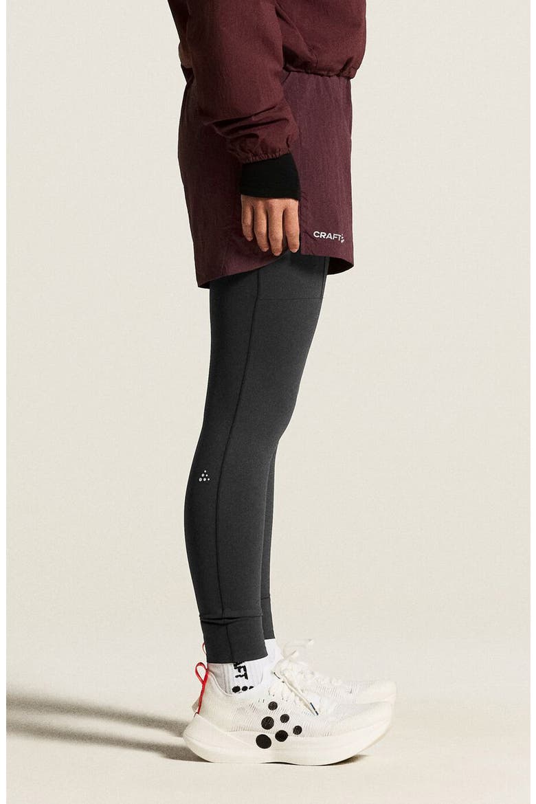SubZ Insulated Performance Shorts, Alternate, color, DARK FIG