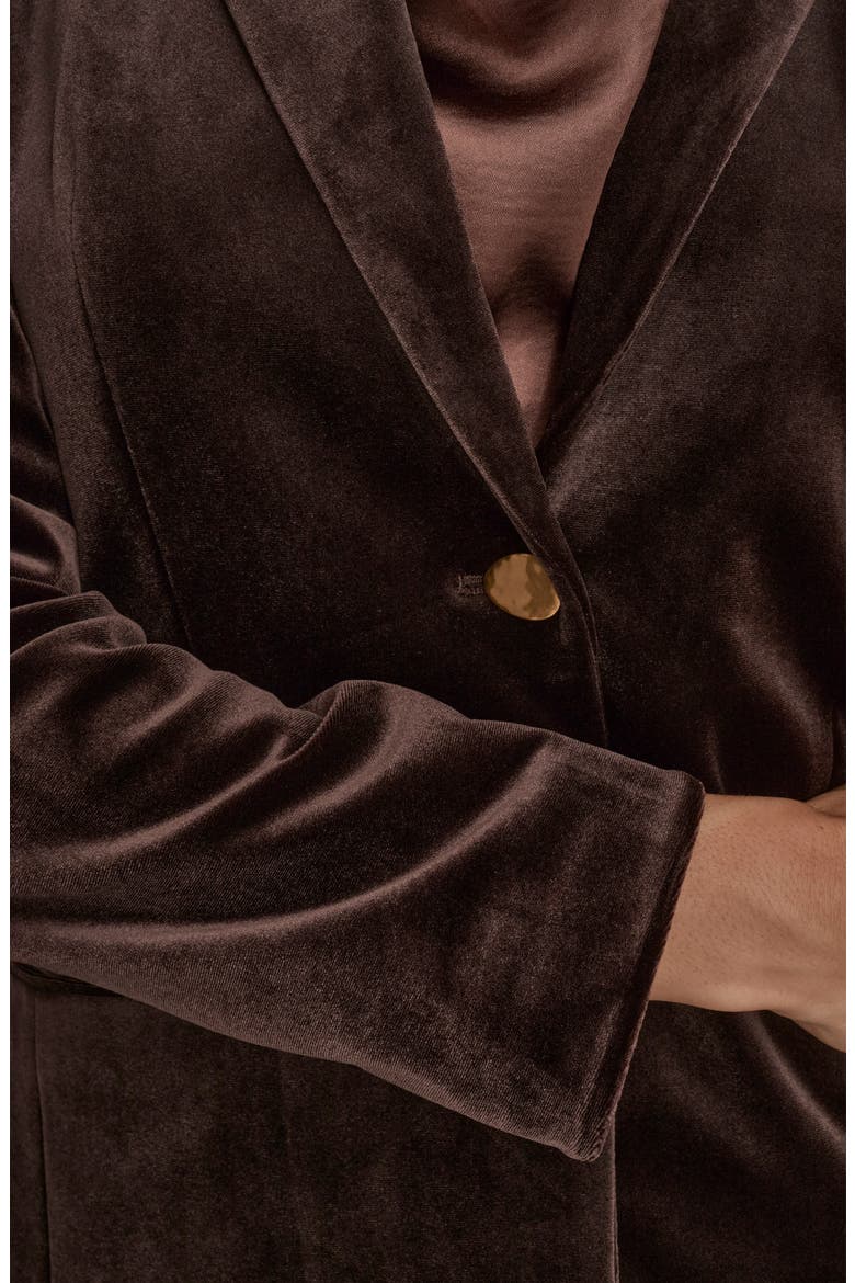 One-Button Velvet Jacket, Alternate, color, CHOCOLATE PLUM